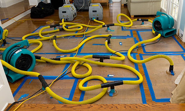 Professional Crawl Space Water Removal technician working in Windsor, VA